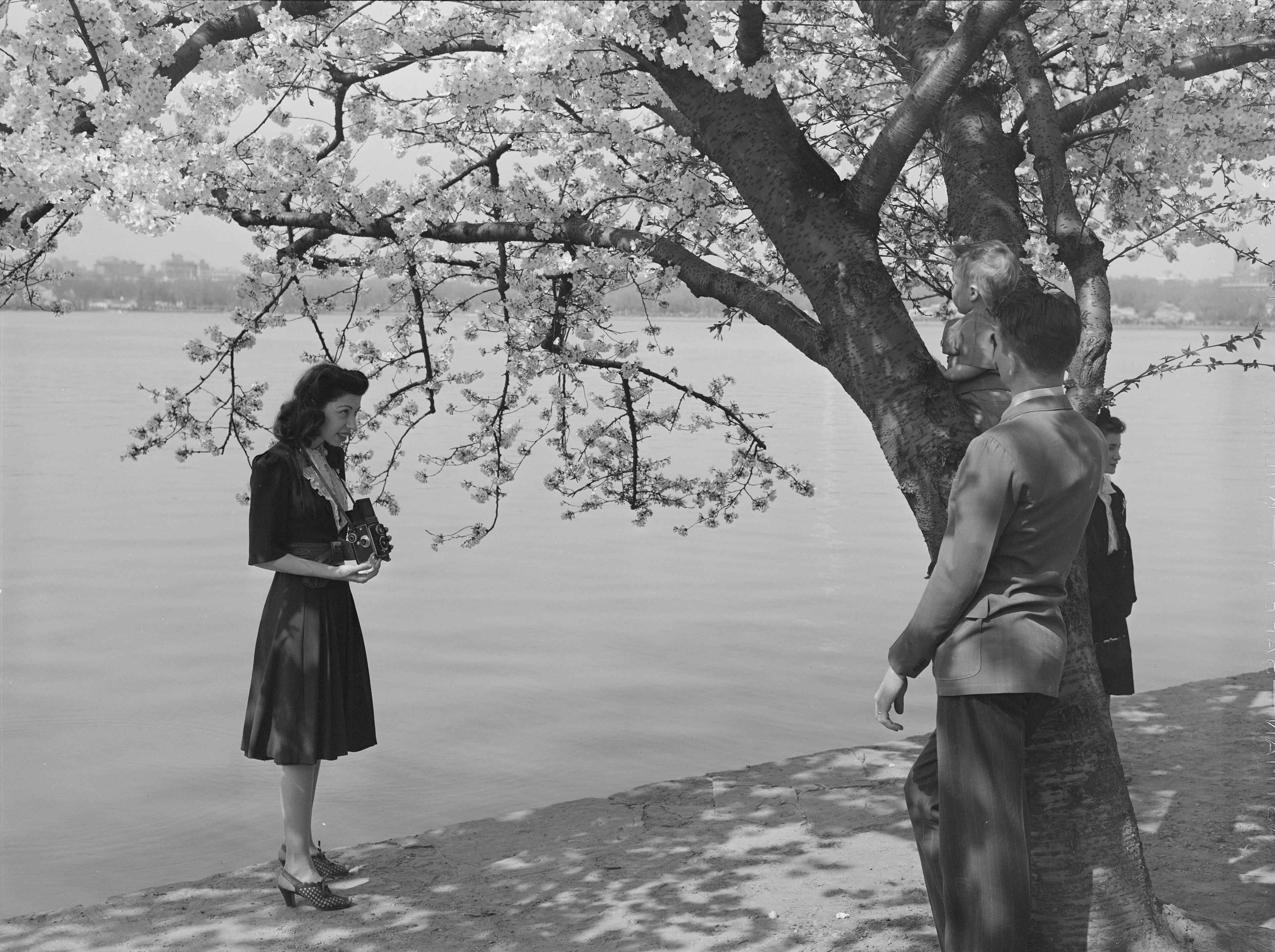 An archival photograph from Middle Tennessee State University's Albert Gore Research Center, whose historical collections are being made more accessible through JSTOR Digital Stewardship Services.  Image credit: Albert Gore Research Center, Middle Tennessee State University.