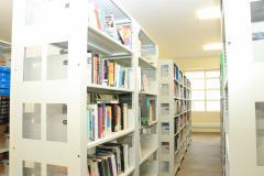 Library Shelves